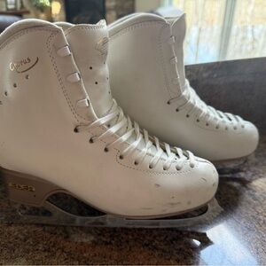 Edea Chorus 260 Ace Coronation Lite Blades